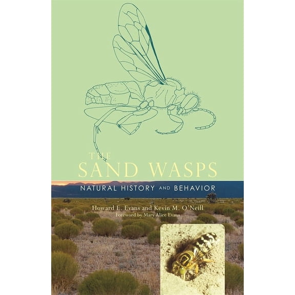 The Sand Wasps (Hardcover)