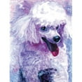 thumbnail image 1 of Rainbow Card Company LC135G 20 x 30 in. Stretched Canvas Ginger, 1 of 1