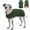 Green, variant on Kuoser Dog Coat Warm Reflective Winter Jacket for Small Medium Large Dogs, Gray, S