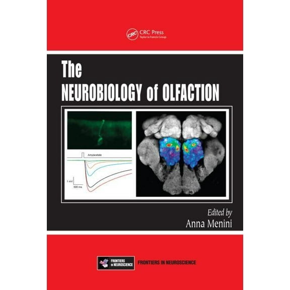 Frontiers in Neuroscience The Neurobiology of Olfaction, (Hardcover)