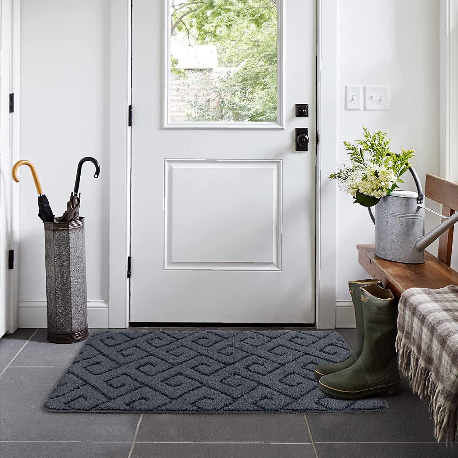 Walensee Indoor Doormat, Front Door Mat for Entrance, 20x32
