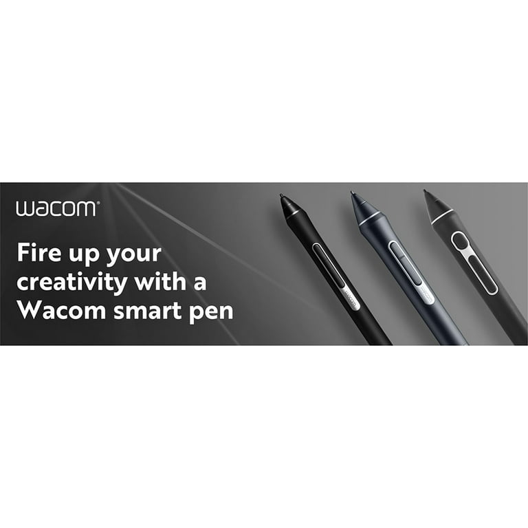 Wacom Pro Pen 2 with Pen Case (KP504E) - Walmart.com