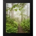 thumbnail image 2 of Poinski, Dianne 12x14 Black Modern Framed Museum Art Print Titled - Summer Fog, 2 of 5