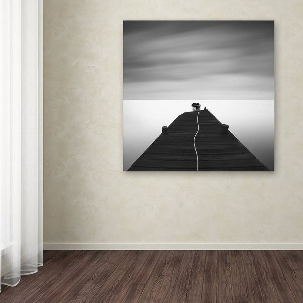 Trademark Fine Art "Free" Canvas Art by Moises Levy
