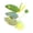 Green, variant on 3 Pack Catnip Mouse Toy Set with Crinkle Noise Soft Teddy Velvet Fabric and Natural Catnip Filling for Indoor Cats Hunting Play and Stress Relief 1.96x1.57x1.37in 0.05lb