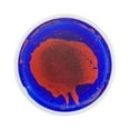thumbnail image 2 of Abbracc Tuile de Jeu Liquide Colorée pour Enfants Tuiles Sensorielles Rondes pour Garçon Fille Enfants Rouge et Bleu, 2 of 9