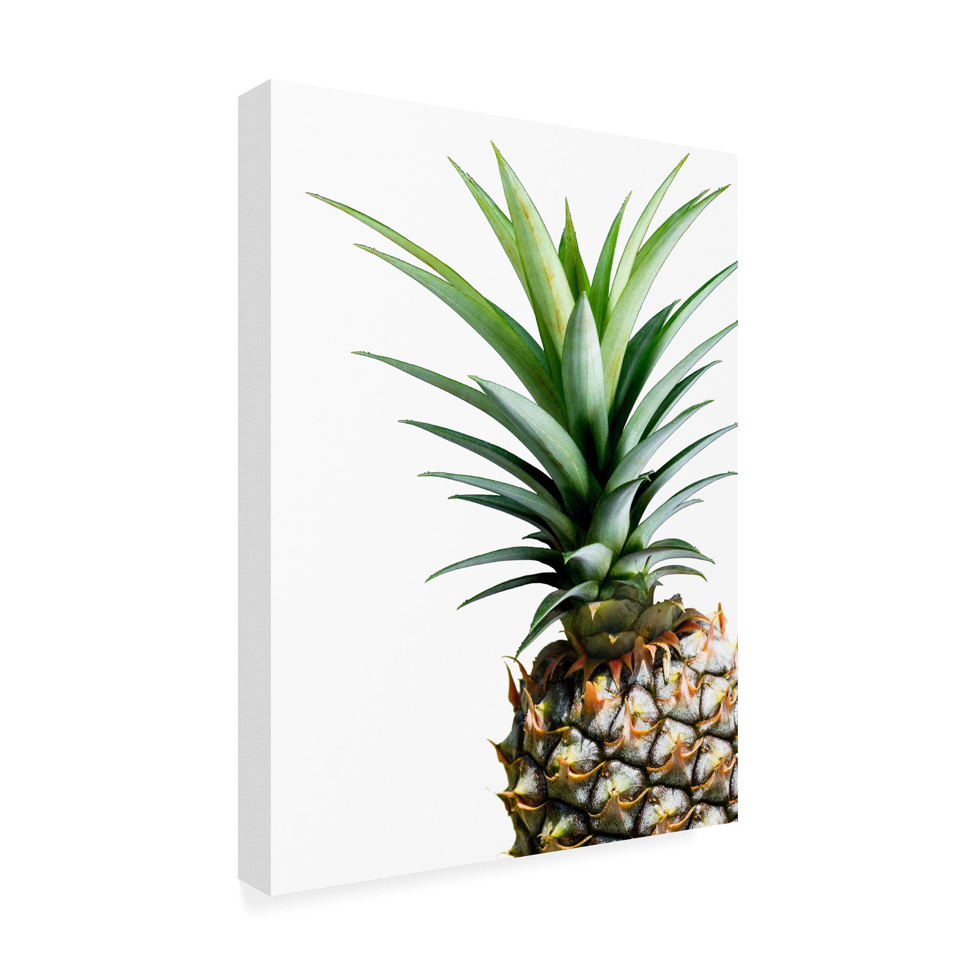 Trademark Fine Art 'Pineapple (color)' Canvas Art by Lexie Gree
