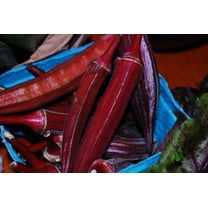 Red Burgundy Okra Gumbo Premium Seed Packet