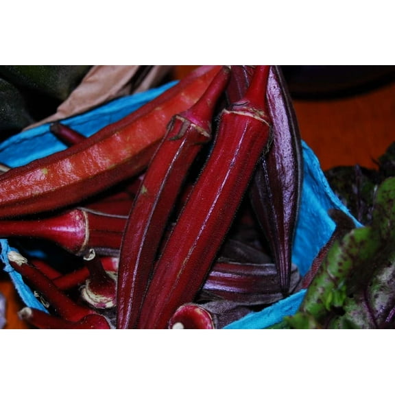 Red Burgundy Okra Gumbo Premium Seed Packet
