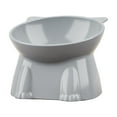 thumbnail image 2 of Raised Cat Food Bowl – Ceramic Elevated 15° Tilted Cat Bowl for Whisker & Neck Fatigue, Dishwasher Safe – Non-Slip & Anti Vomiting Ergonomic Design （Gray）, 2 of 6