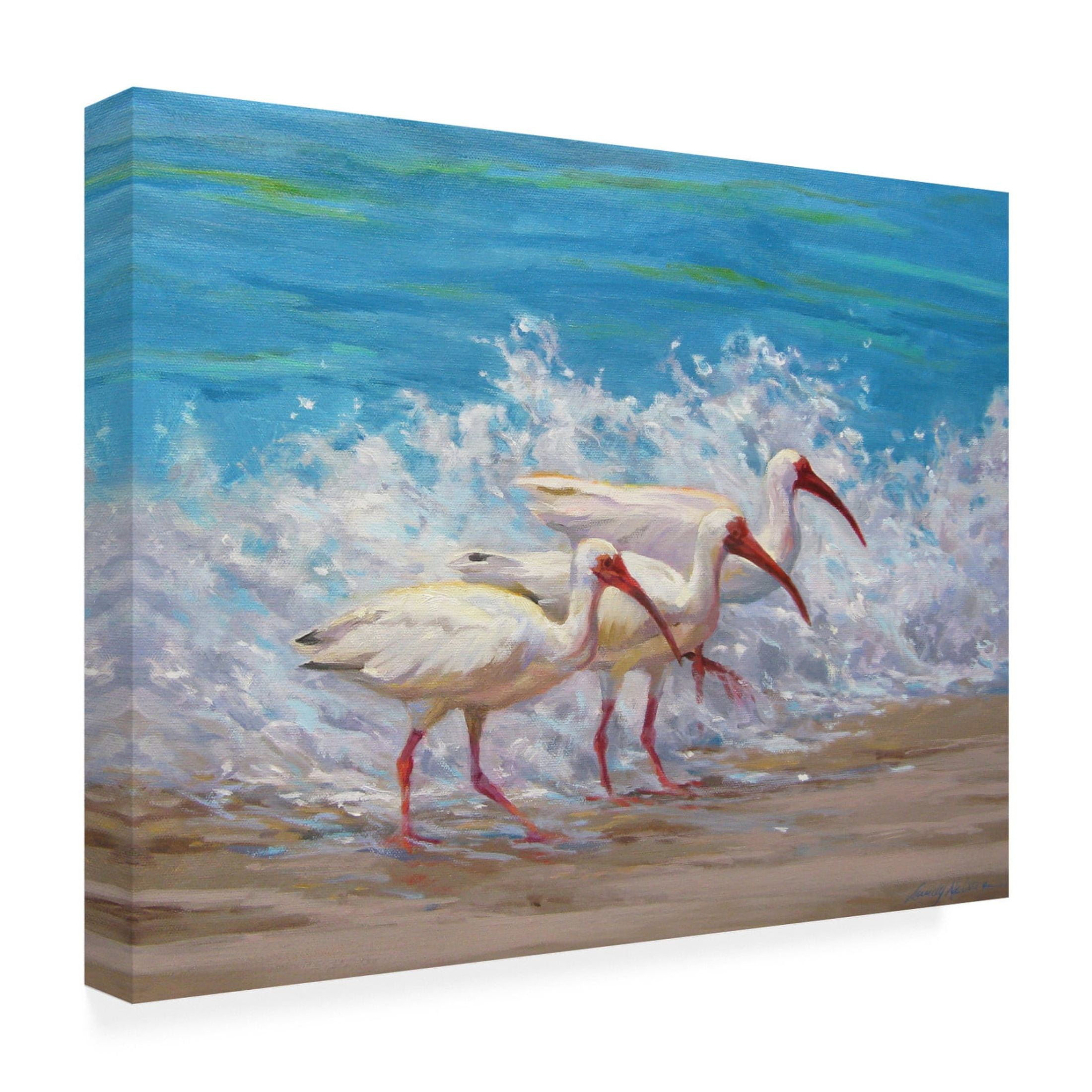 Canvas Wall Art - Sandy Nelson 'Surf Fishing' Wall Art for Living Room, Bedroom, or Office Décor by Trademark Fine Art - 47 x 35 Inches