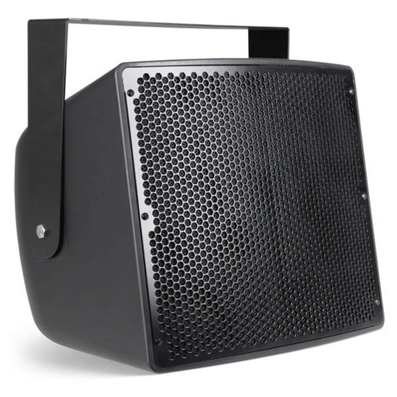 Pure Resonance Audio S12 12" High Output 2-Way Full-Range All-Weather Loudspeaker