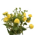 thumbnail image 2 of Vickerman 19" Artificial Yellow Ranunculas Bouquet in Glass Vase, 2 of 2