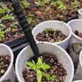 thumbnail image 3 of (Negro) Sembradora Plantas para Macetas Al Aire Libre Herramientas Jardinería Multicolores Sembradora Plástico para Plantas Conveniente, 3 of 7