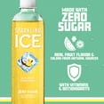 thumbnail image 4 of Sparkling Ice, Coconut Pineapple Sparkling Water, 17 fl oz Bottles (Pack of 12), 4 of 5