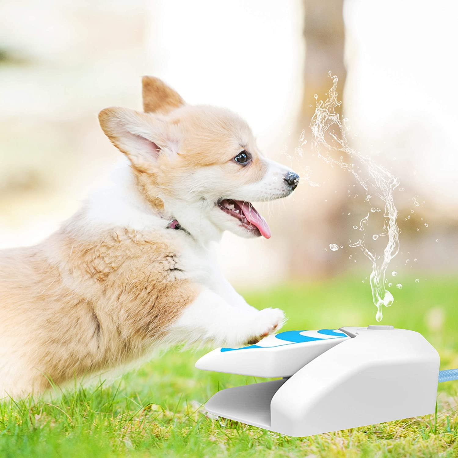 Outdoor Dog Water Sprinkler Easy Activated Dog Garden Water Fountain