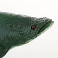 thumbnail image 3 of Realistic Static Ocean Animal Model Toy Kids Gift Pirarucu, 3 of 9