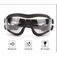 thumbnail image 4 of Dog Goggles for Outdoor Eye Protection, Adjustable Strap Easy to Put on Pet Sunglasses - Clear, 4 of 4