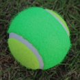 thumbnail image 4 of De Pelotas De Tenis, Pelotas Deportivas Resistentes Y Duraderas, Pelotas De Entrenamiento De Alta Elasticidad Para Deportes Al Aire Libre Y Jugar A Buscar 15 Uds. Yuarrent OD013058-00, 4 of 6
