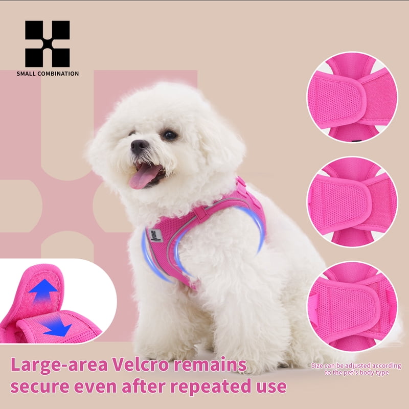 Dog Harness Leash Set for Small Medium Dog Adjustable Reflective Puppy Cat Harness pet Vest Chihuahua Dachshund Outdoor Walking