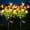 Multicolor, variant on Fohil Solar Flower Lights 2 Pack, 7-Head Red Rose Solar Lights Outdoor with LED Solar Stake Lighting for Patio, Pathway Landscape Decoration