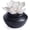 Black and White, variant on White Succulent, Porcelain Passive Essential Oil Diffuser (with 15ml Peppermint Essential Oil) – Non-Electric, Battery-Free, Improves Sleep, and Relieves Stress