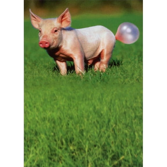 Recycled Paper Greetings Pig Blowing Bubble Funny Birthday Card