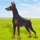 thumbnail image 5 of Juguete de figura animal, modelo de perro de simulación, juguete animal para bebé, modelo animal, funcionalidad versátil, 5 of 8