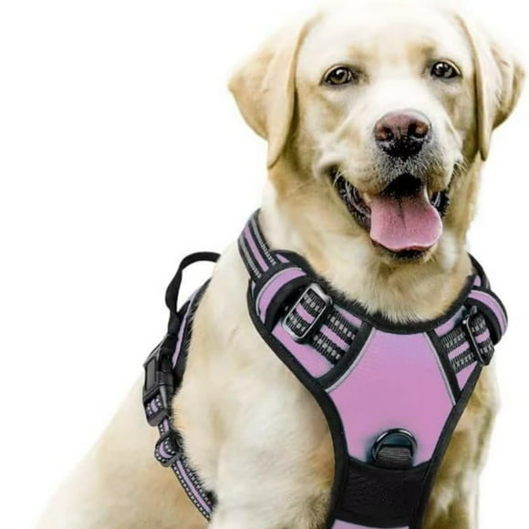 Hearth & Gear PawSafety No Pull Harness Coastal Dog Ribbon Style Dog for Sledding Large Dog No Puppy+harness for Dogs Side Rings Step in Dog Medium Eco Medium Dog No Dog Puppy to Medium Dog Dog for No