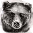 thumbnail image 3 of Parker, Jennifer Paxton 15x15 Black Modern Framed Museum Art Print Titled - Bear Grin I, 3 of 5