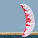 thumbnail image 4 of Tabla de surf Paracaídas shamjiam cometa, 4 of 9