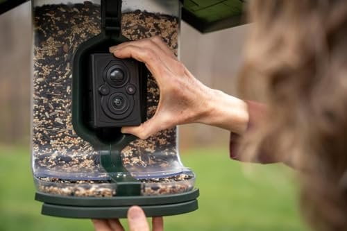 Feathersnap Smart Bird Feeder with AI Identification & HD Camera  Solar-Powered Wi-Fi Feeder Sends Photos & Videos to Your Phone  Includes Pole Mount, Bird Seed, 32GB SD Card, & Cleaning Cloth