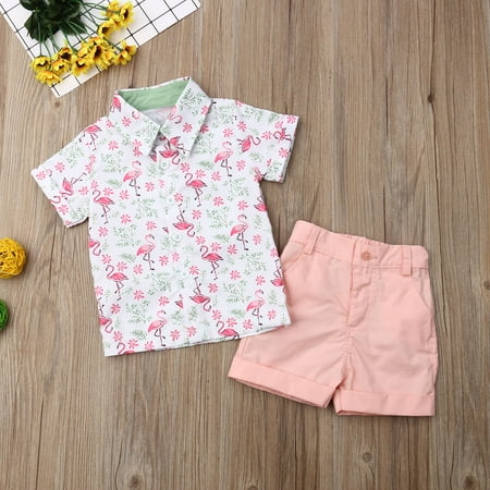 

Kids Toddler Baby Boys Short Sleeve Button Down Shirt Shorts Suits 2T 3T 4T 5T 6T Outfits Summer Clothes Gentleman 2-Piece Set