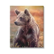Stupell Industries Majestic Baby Bear Warm Sunlit Forest Habitat Photograph Gallery Wrapped Canvas Print Wall Art, Design by Alpenglow Workshop