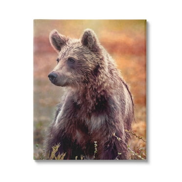 Stupell Industries Majestic Baby Bear Warm Sunlit Forest Habitat Photograph Gallery Wrapped Canvas Print Wall Art, Design by Alpenglow Workshop