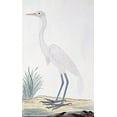 thumbnail image 2 of Gordon, Robert James 10x14 Gold Ornate Wood Framed with Double Matting Museum Art Print Titled - Egret, 2 of 4