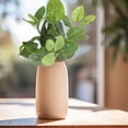 thumbnail image 4 of zhangmingg Greenery Wall Outdoor Decorative Arrangement for Landscaping and Patio Design, 4 of 4