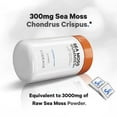 thumbnail image 5 of Codeage Irish Sea Moss Gummies Supplement - 300mg Irish Sea Moss Extract Equivalent to 3,000mg of Raw Sea Moss Powder - Delicious Strawberry Flavor - Vegan, Non-GMO, Gluten-free - 60 Gummies, 5 of 11