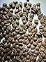 GROUNDWORK COFFEE CO Organic Brazil Whole Bean Coffee, 12 OZ