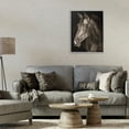 thumbnail image 2 of Stupell Industries Strong Stallion Horse Portrait Gray Framed Giclee Art design by Marcus Prime, 20 x 16, 2 of 8