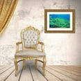 thumbnail image 3 of Fitzharris, Tim 18x13 Gold Ornate Wood Framed with Double Matting Museum Art Print Titled - Yellow snapper school-Miniloc Island-Palawan-Philippines, 3 of 4