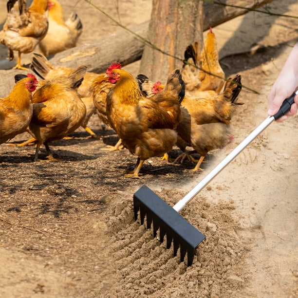 Pisexur Suministros para mascotas Pala de acero inoxidable para estiércol de pollo con mango telescópico y mango extendido Una herramienta especial para limpiar estiércolperros, gatos y animales
