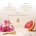 thumbnail image 3 of Perfume Kathy Ireland Genesis Floral Cítrico 100 ml para Mujer, 3 of 8