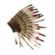 thumbnail image 3 of Tocado de plumas de jefe , diadema decorativa para carnavales, fiestas y Halloween., 3 of 8