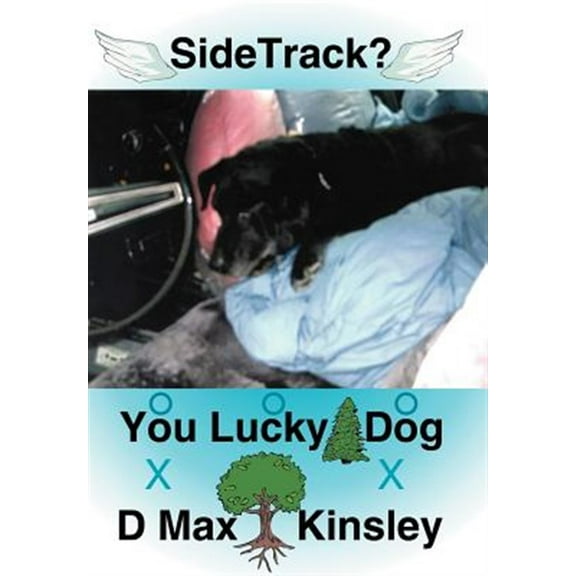 Sidetrack? You Lucky Dog