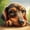 12x12 inch, variant on 5D DIY Artificial Full Diamond Painting Set - Adult Beginner, Depressed Dachshund Diamond Art, Sparkling Rhinestone, for Home Wall Decor & Gift - Perfect for Art Lovers & Adults
