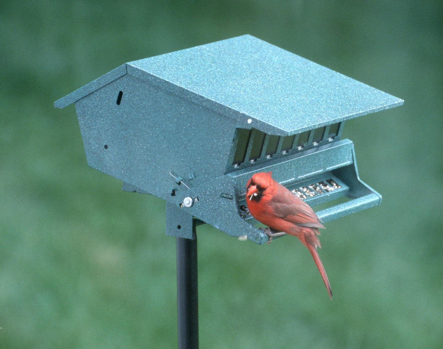 By Heritage Farms 7512 Birds Choice Feeder No Nannydey Com