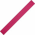 thumbnail image 2 of BlueWater Ropes 1" Tubular Climb-Spec Nylon Webbing (Raspberry, 300'), 2 of 3