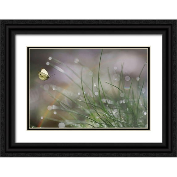 Cseresnjes, Anna 14x11 Black Ornate Wood Framed with Double Matting Museum Art Print Titled - Imminent Landing
