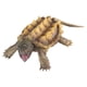 thumbnail image 2 of Colorful Simulation Sea Animals And Small Animals Suit Model Ornaments, 2 of 9